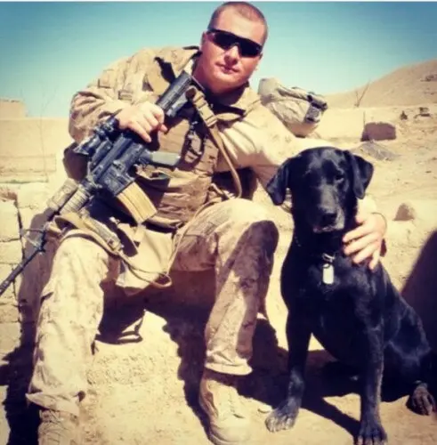 Dog of Dow Profile image 1